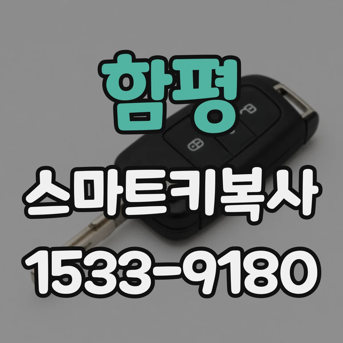 함평 스마트키복사