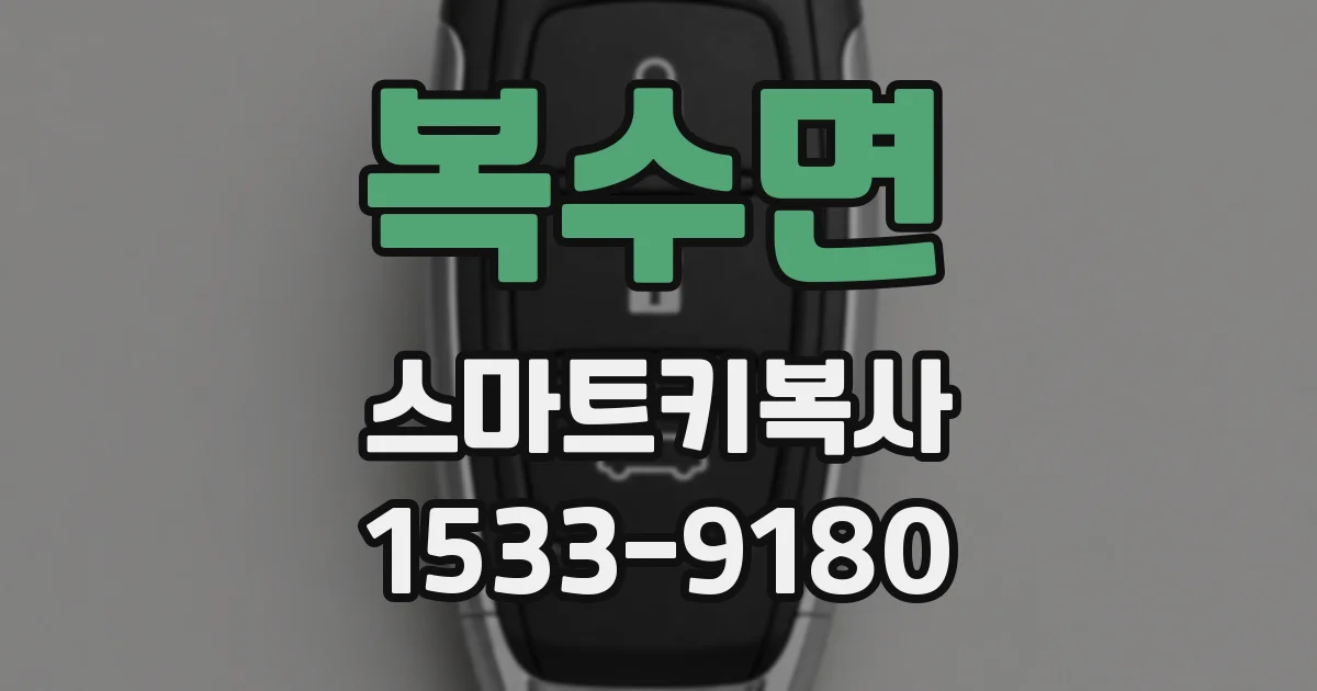 복수면 스마트키복사