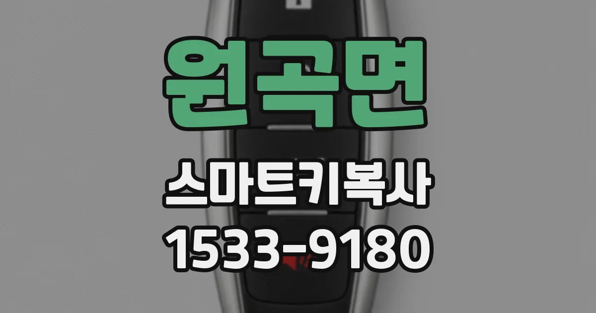 원곡면 스마트키복사