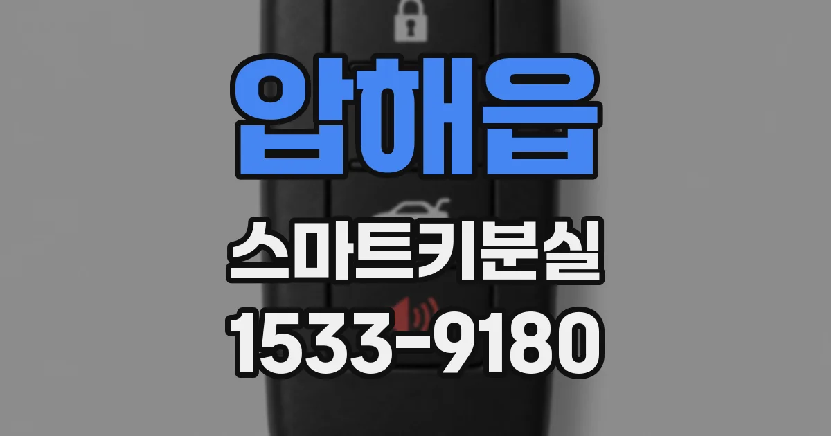 압해읍 스마트키분실