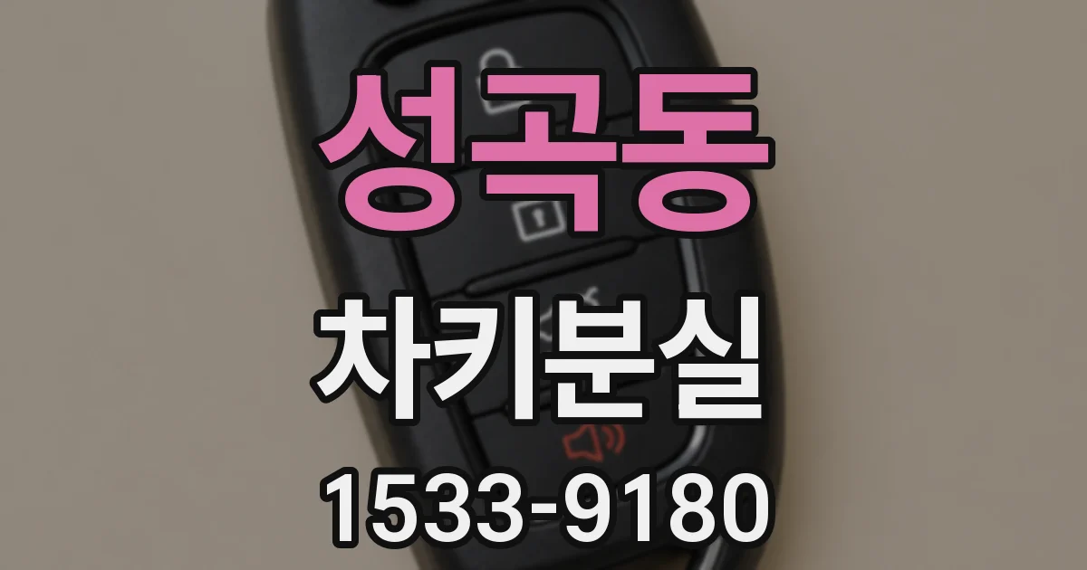성곡동 차키분실