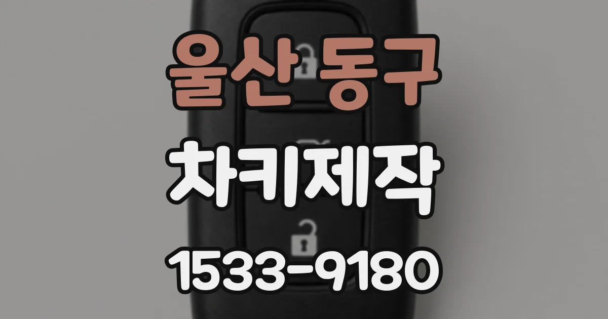 울산 동구 차키제작