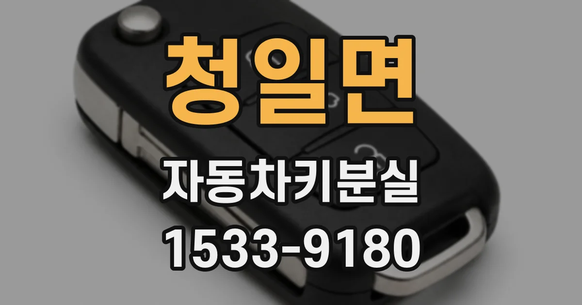 청일면 자동차키분실