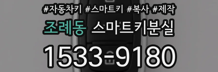 조례동 스마트키분실