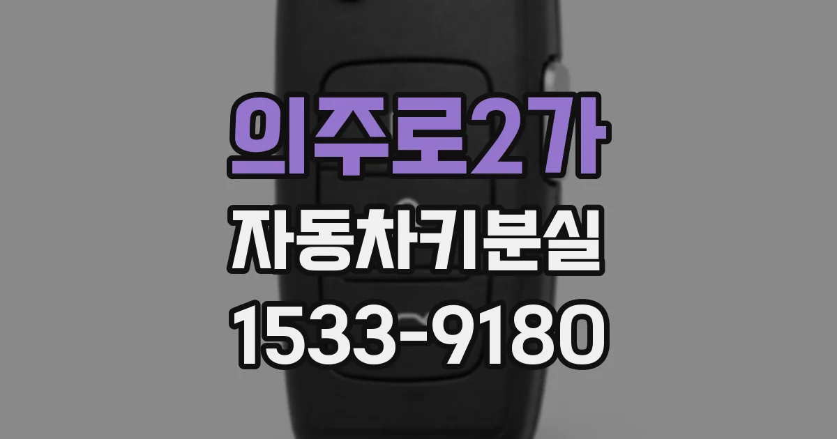 의주로2가 자동차키분실