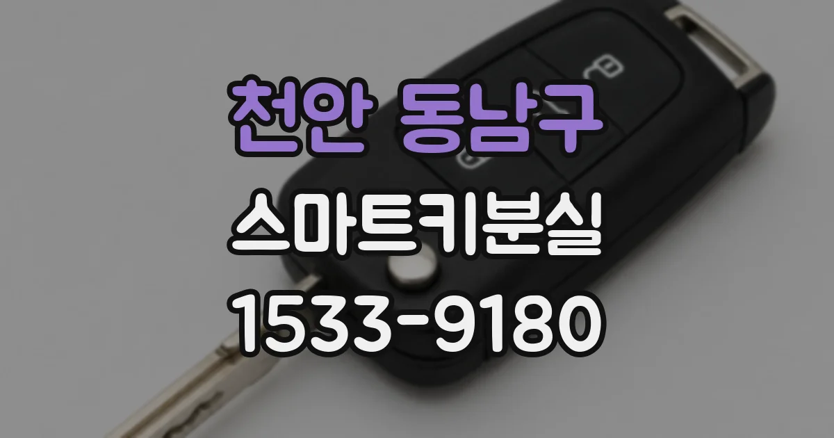 천안 동남구 스마트키분실
