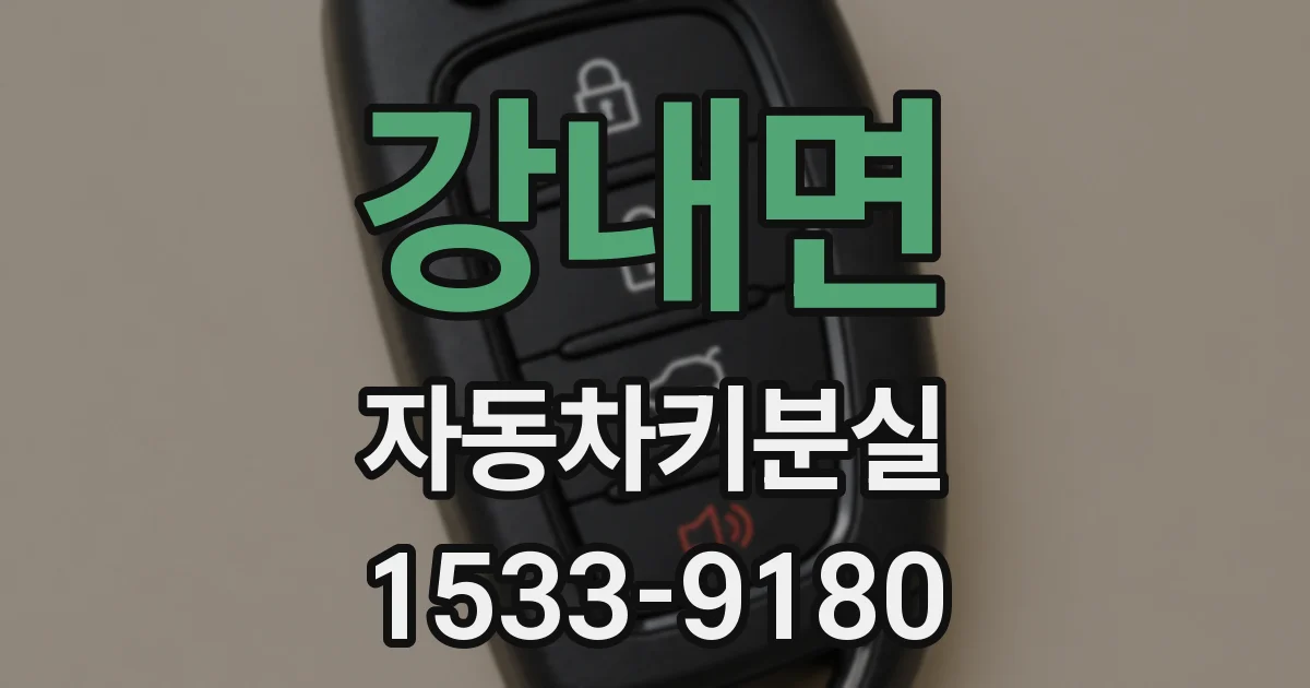 강내면 자동차키분실