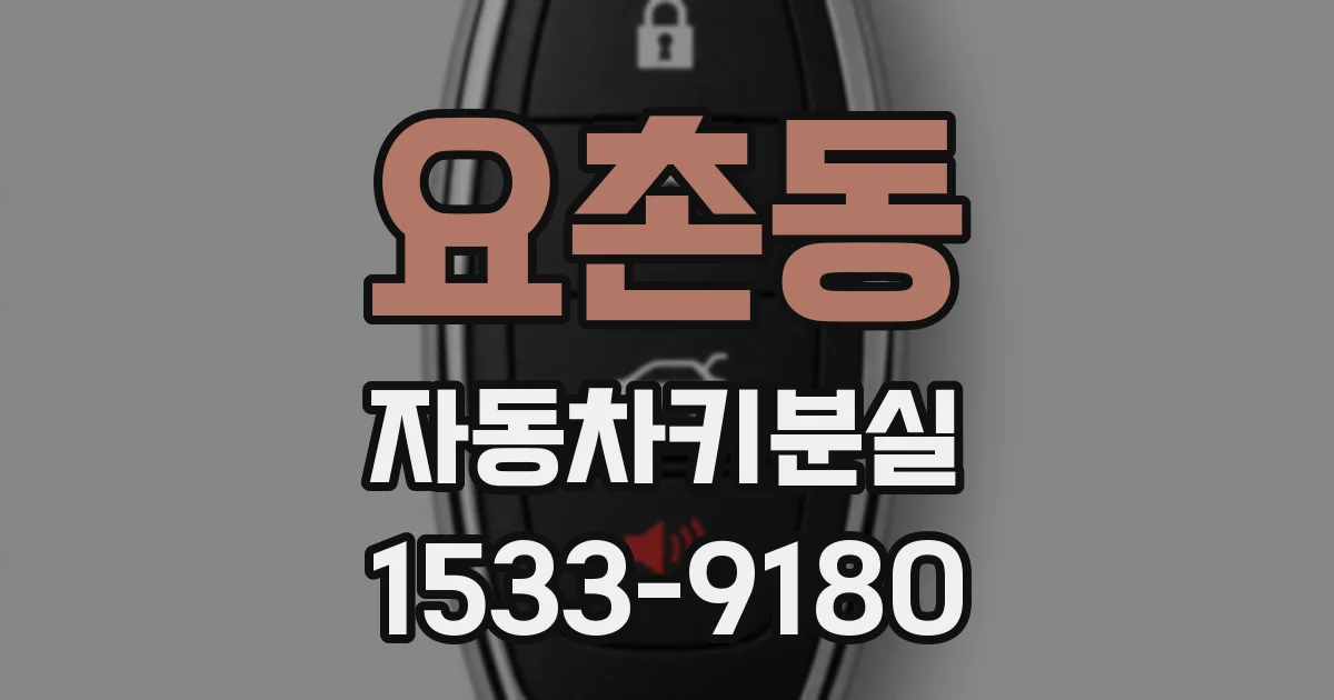 요촌동 자동차키분실