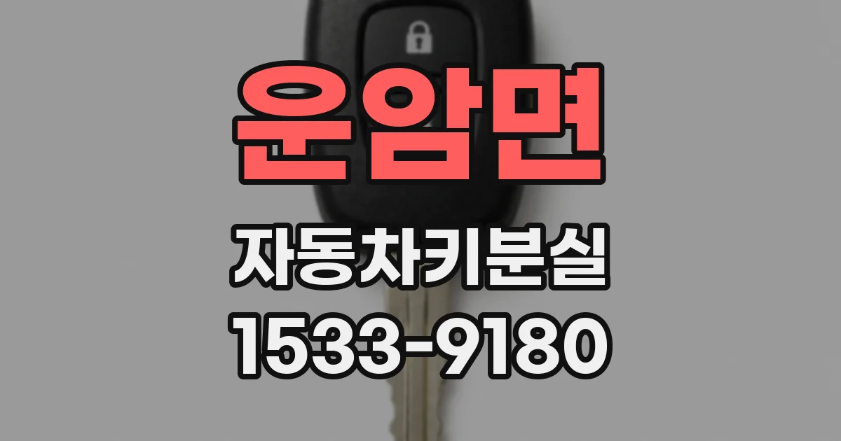 운암면 자동차키분실