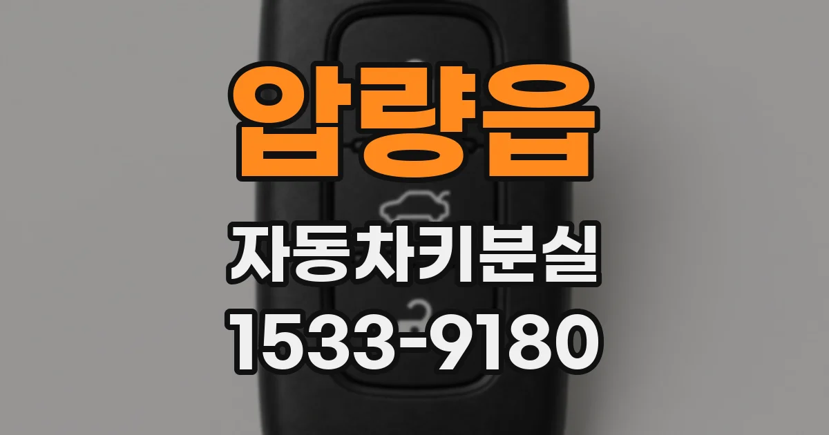 압량읍 자동차키분실