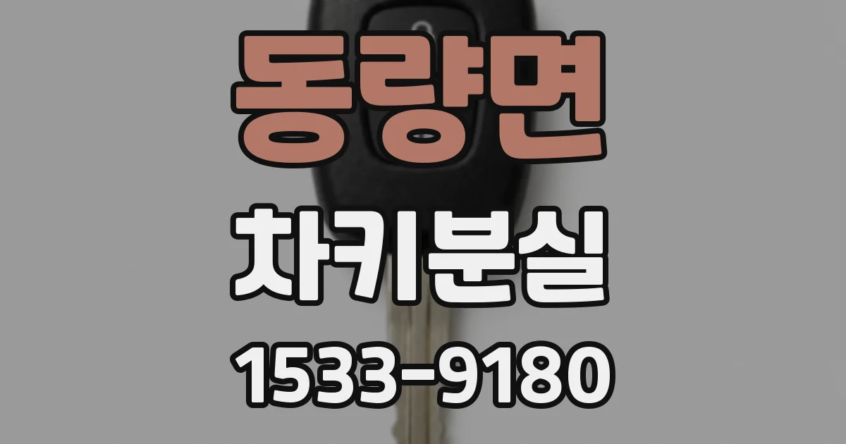 동량면 차키분실