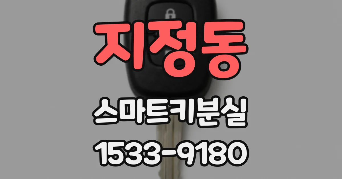 지정동 스마트키분실