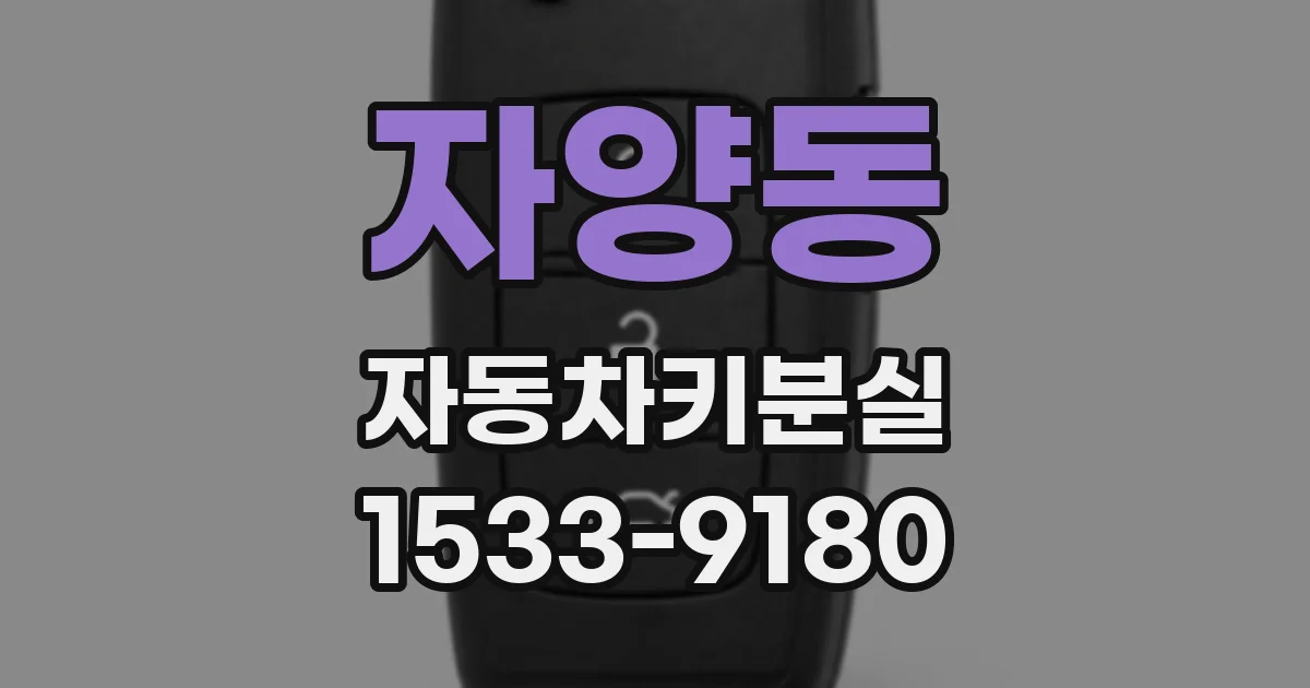 자양동 자동차키분실