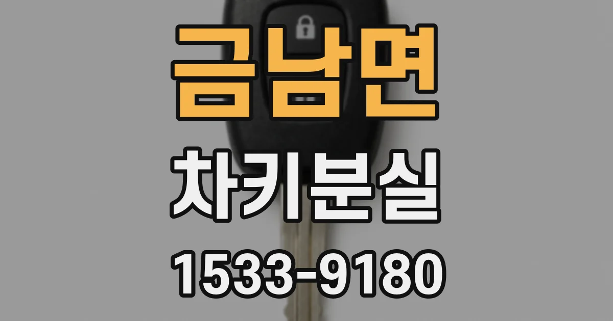 금남면 차키분실