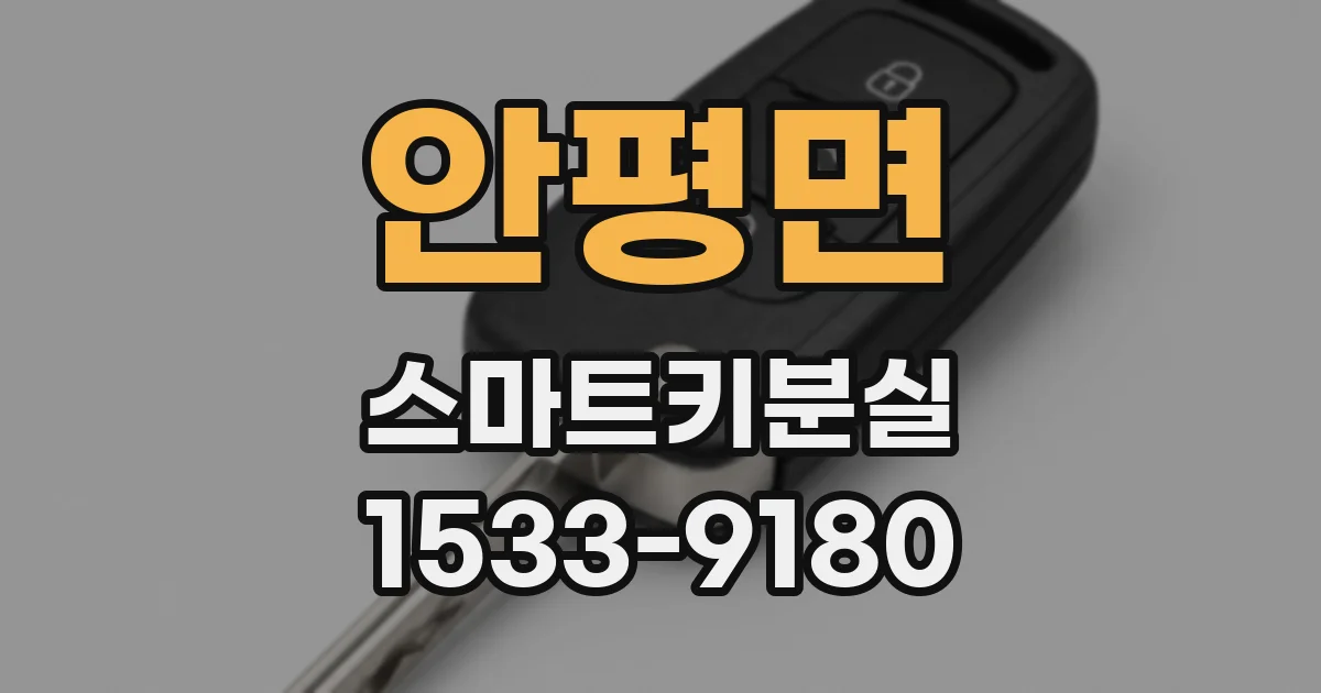 안평면 스마트키분실