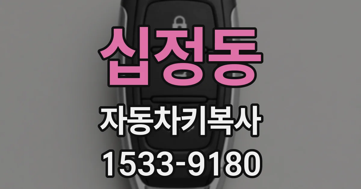 십정동 자동차키복사