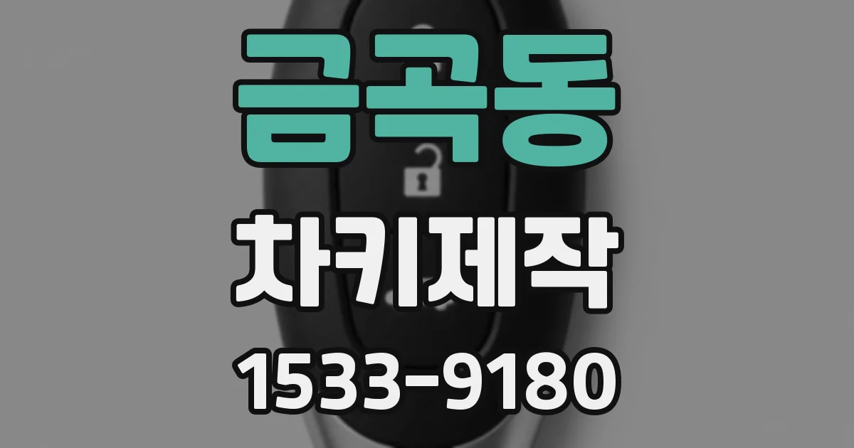 금곡동 차키제작