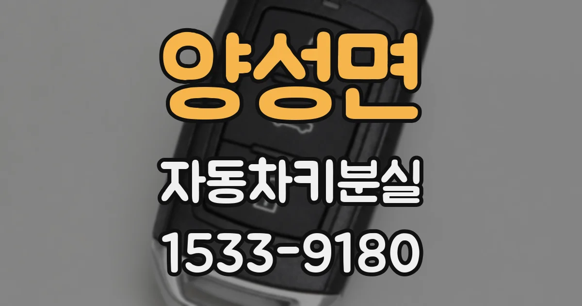 양성면 자동차키분실