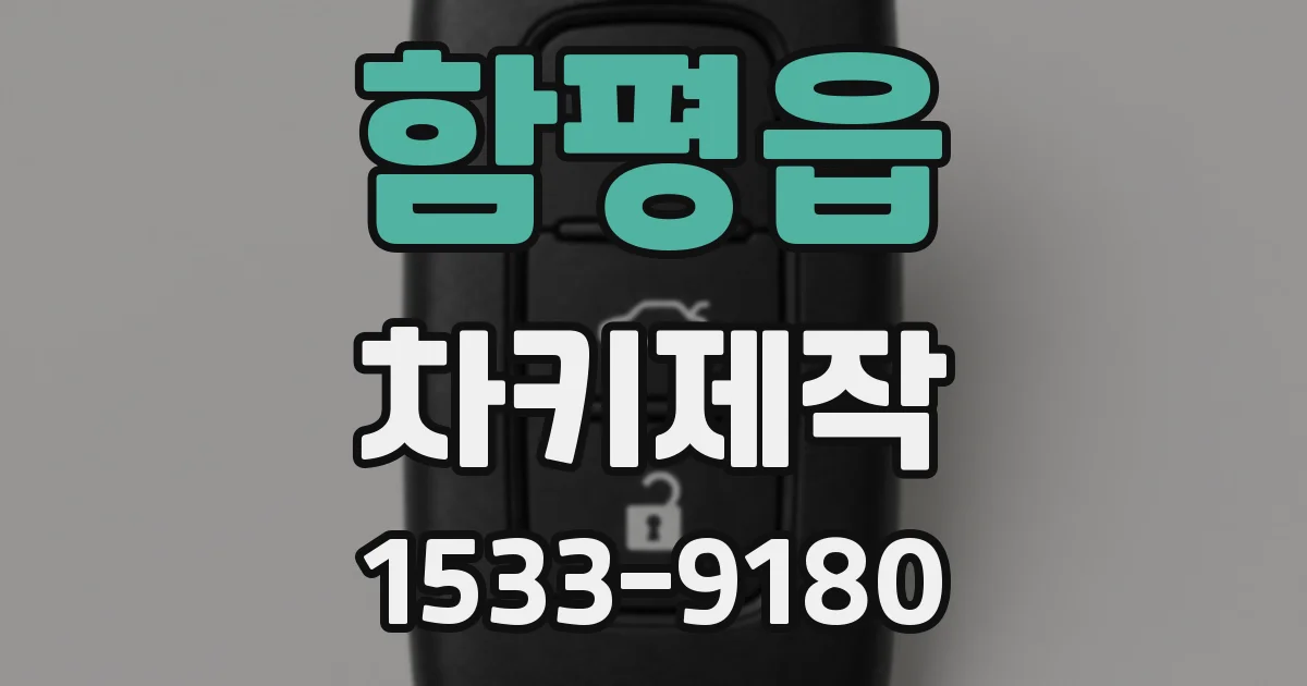 함평읍 차키제작