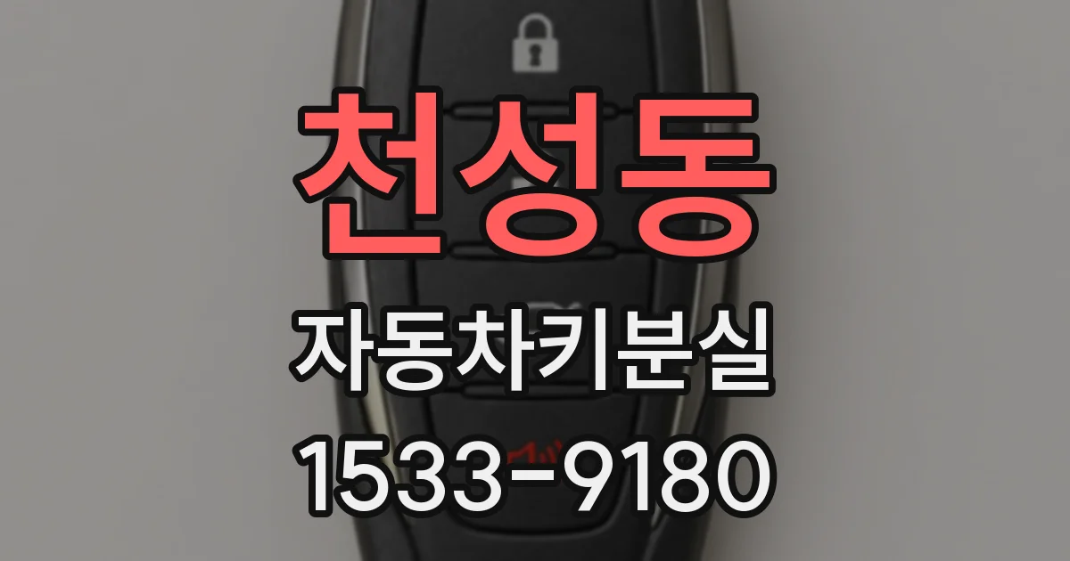 천성동 자동차키분실