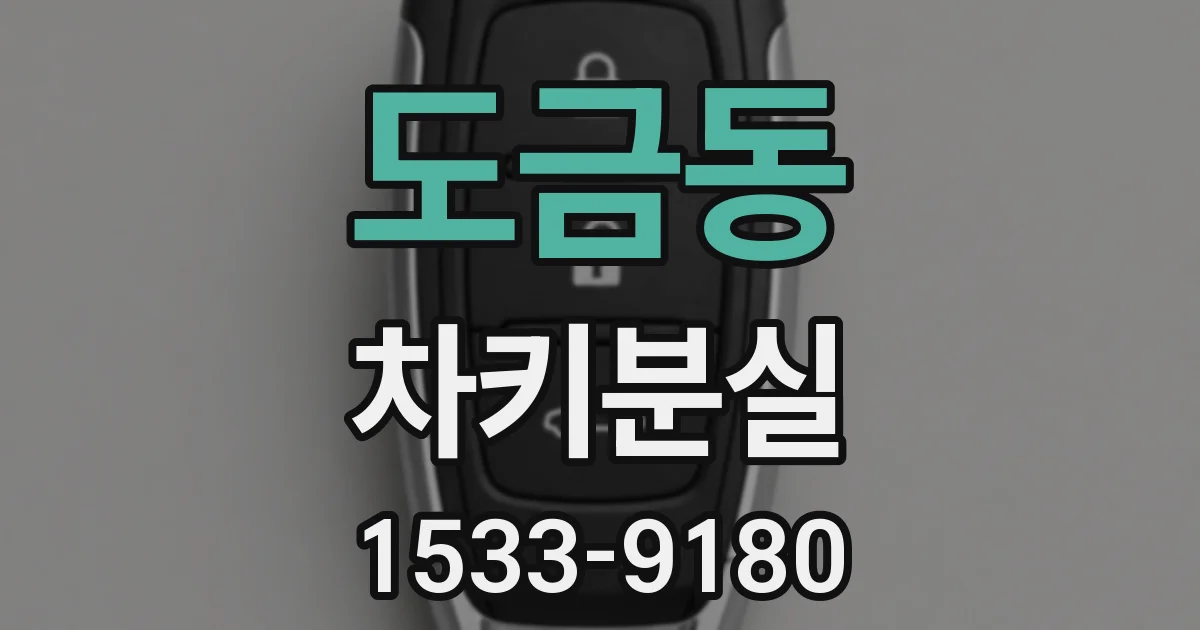 도금동 차키분실