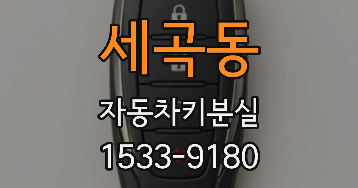 세곡동 자동차키분실
