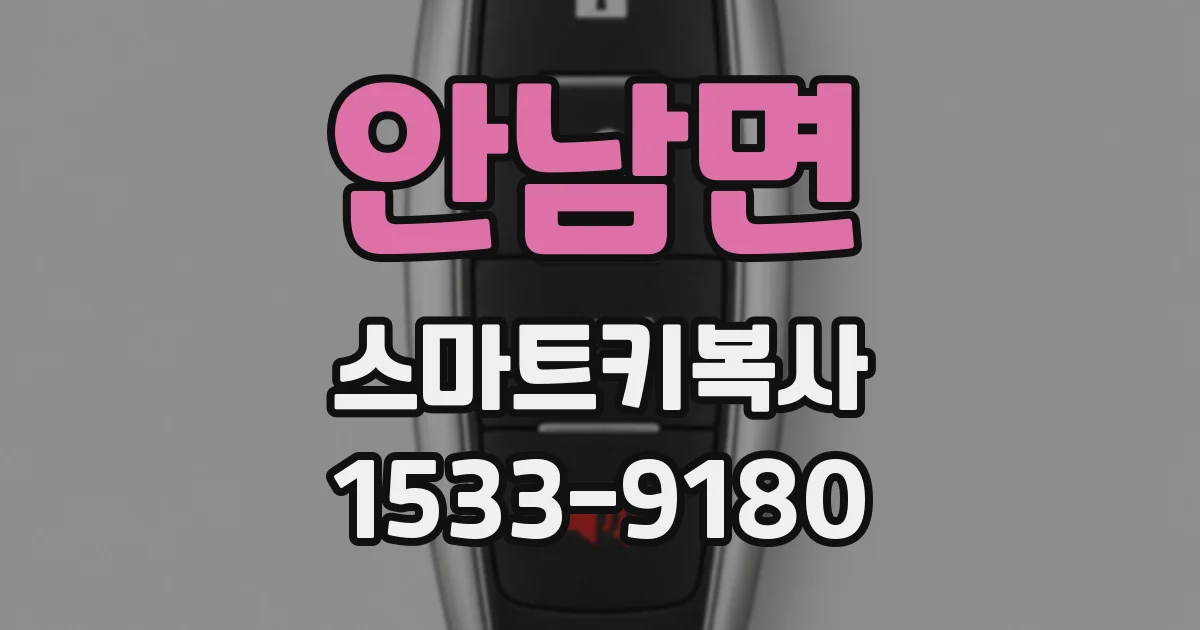 안남면 스마트키복사