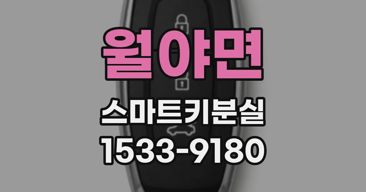 월야면 스마트키분실