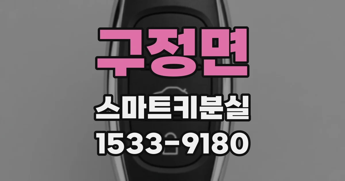 구정면 스마트키분실