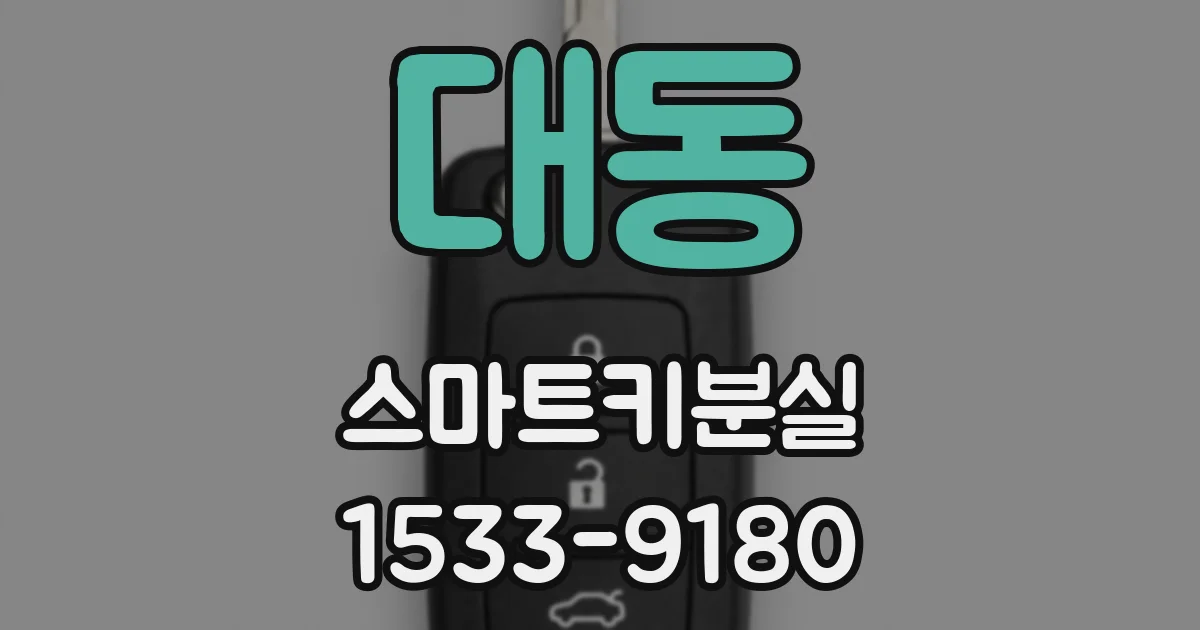 대동 스마트키분실