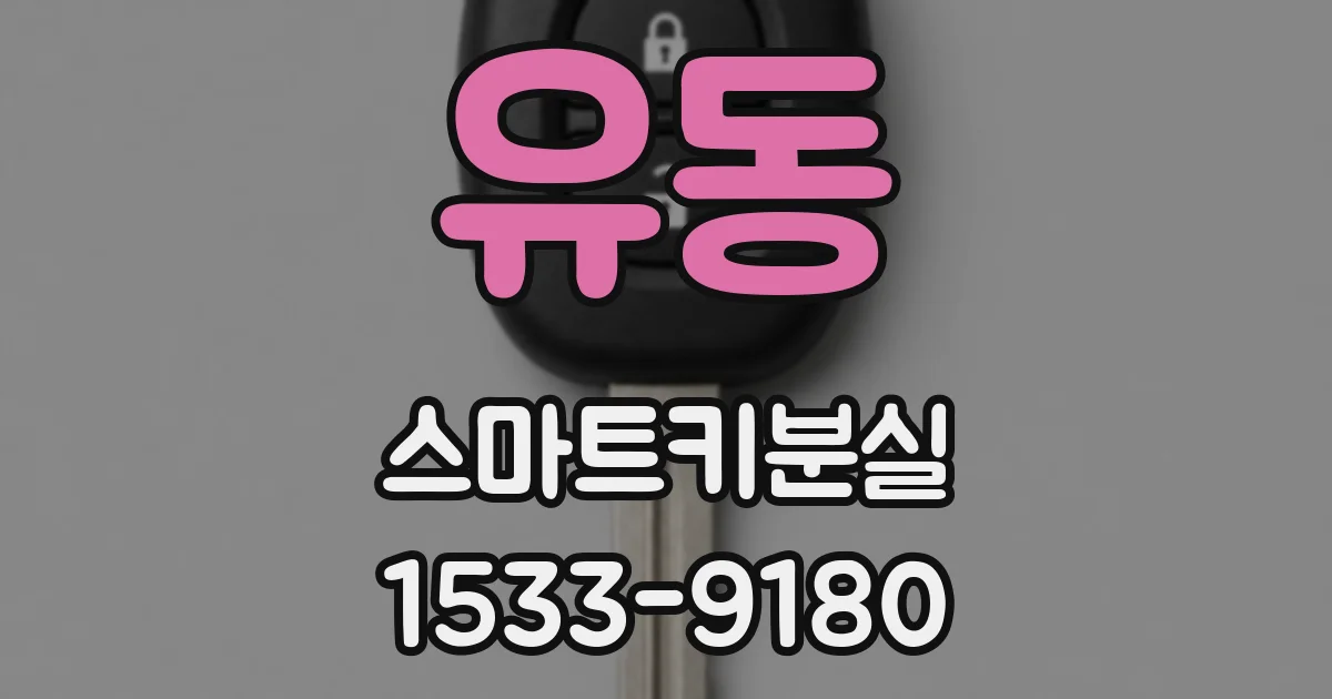 유동 스마트키분실