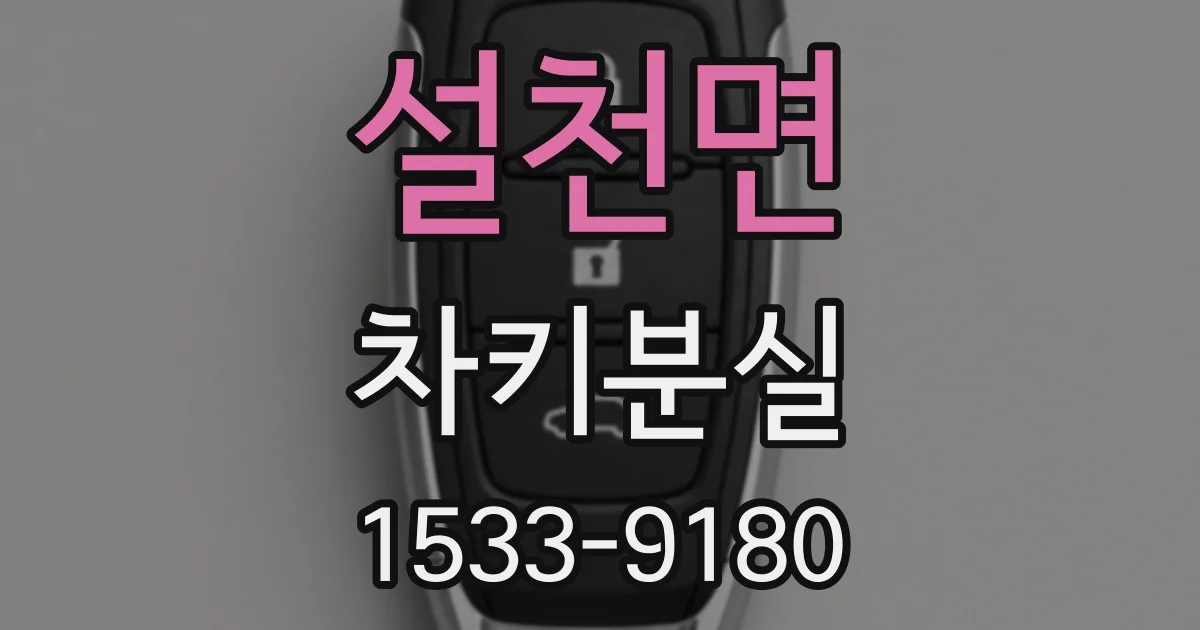 설천면 차키분실