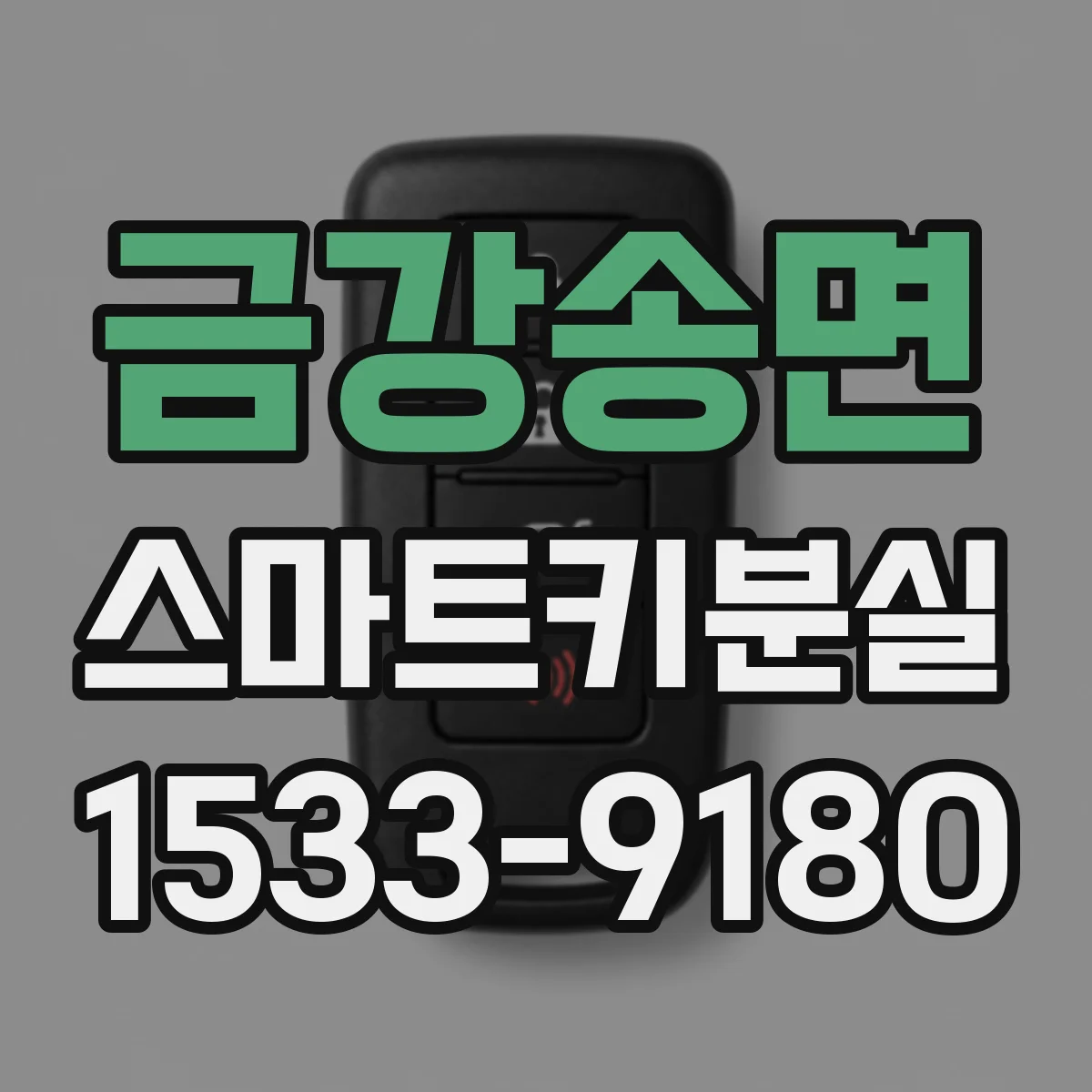 금강송면 스마트키분실