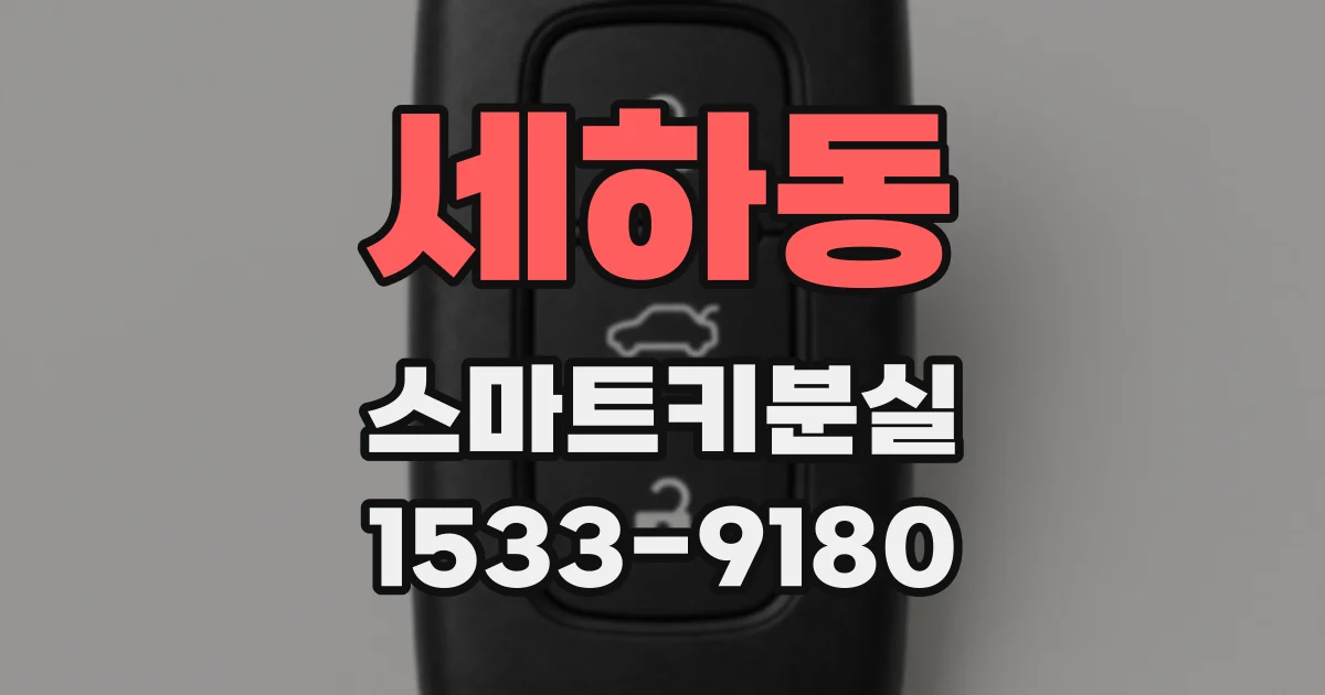 세하동 스마트키분실