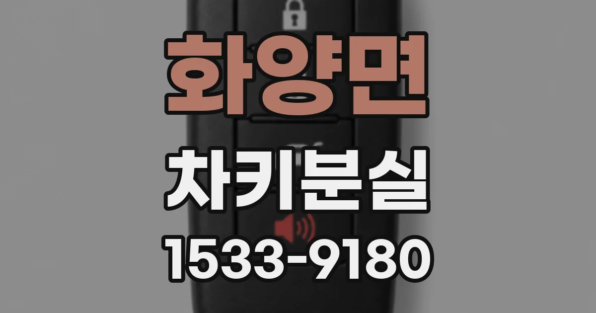 화양면 차키분실