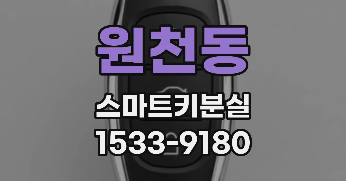 원천동 스마트키분실