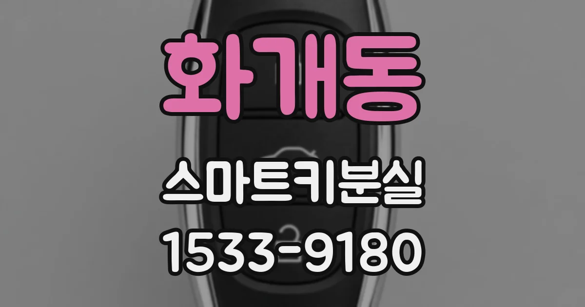 화개동 스마트키분실