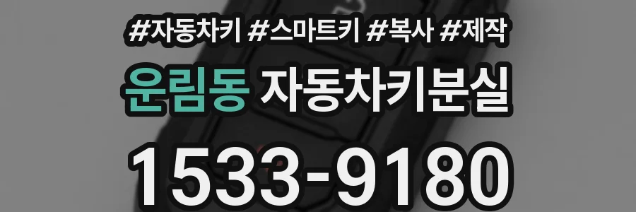 운림동 자동차키분실