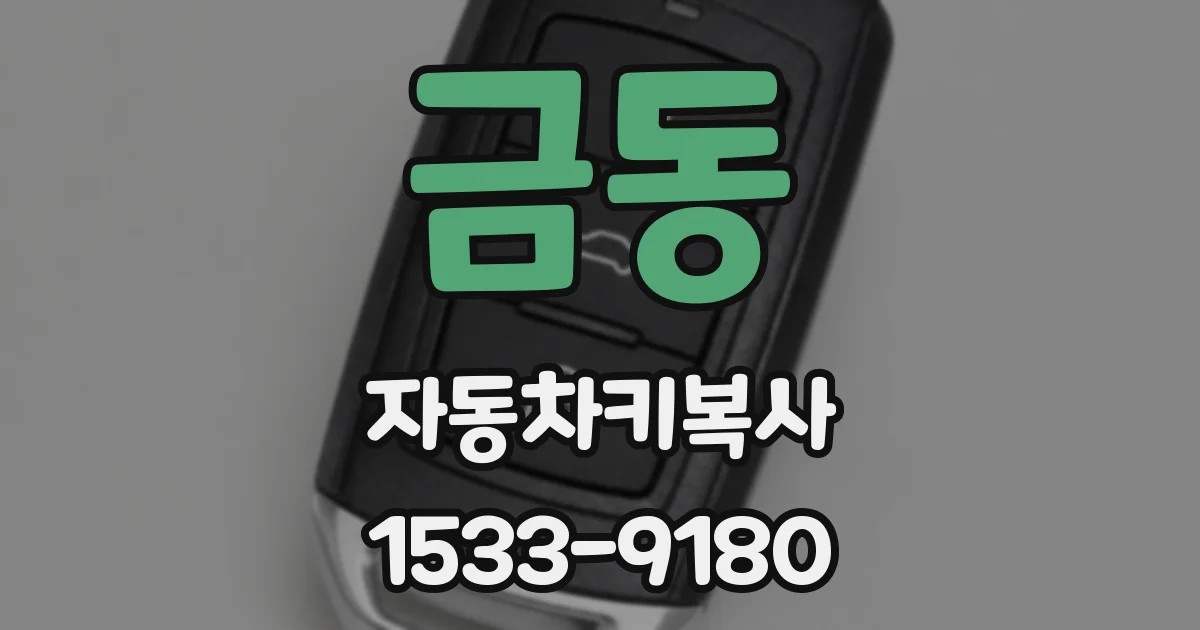 금동 자동차키복사
