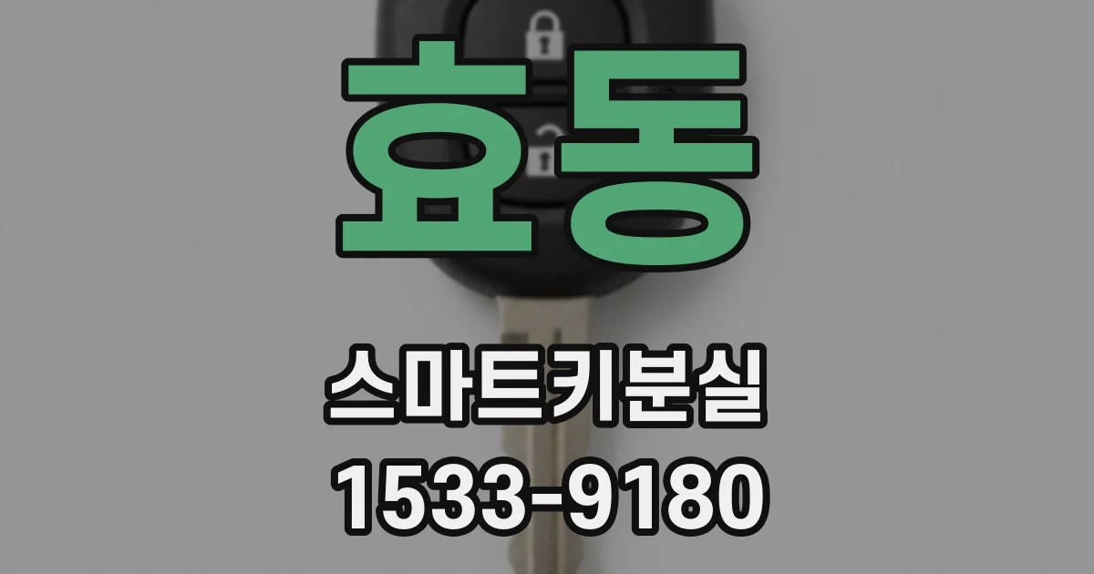 효동 스마트키분실