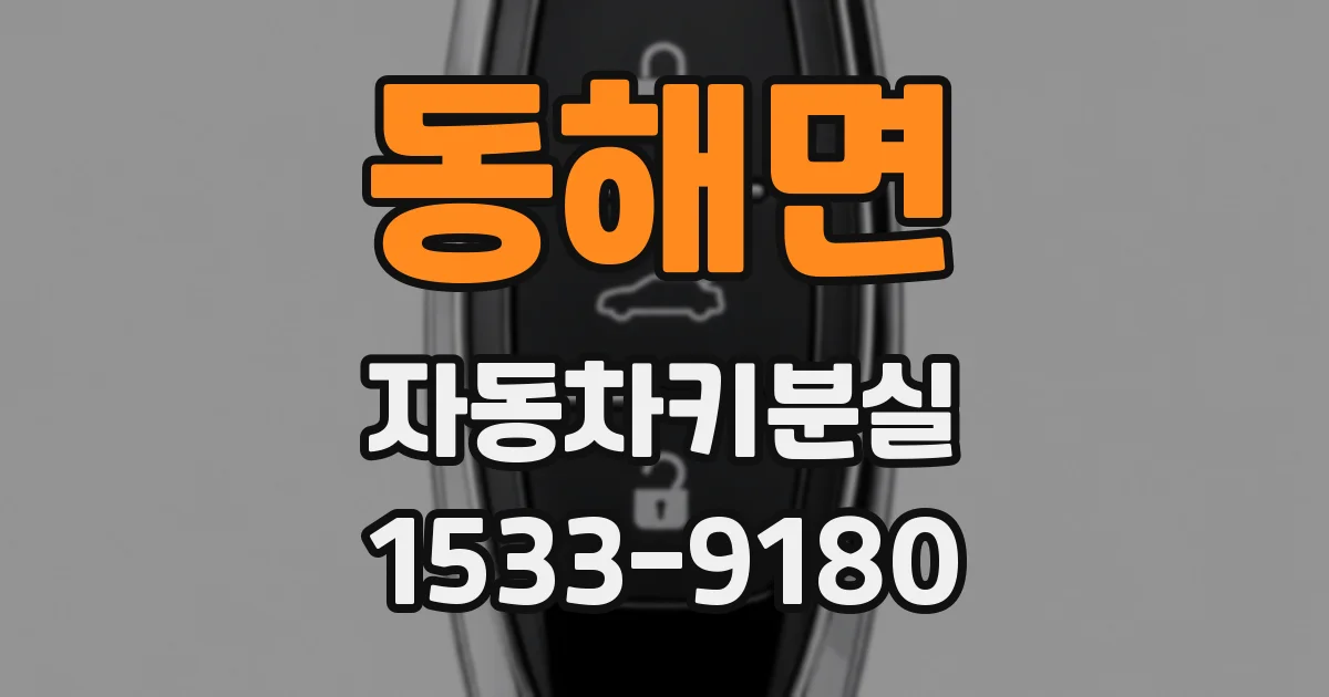 동해면 자동차키분실