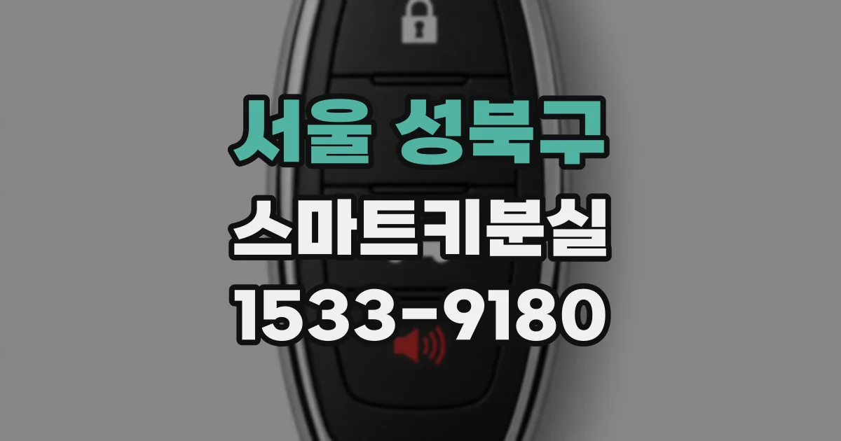 서울 성북구 스마트키분실