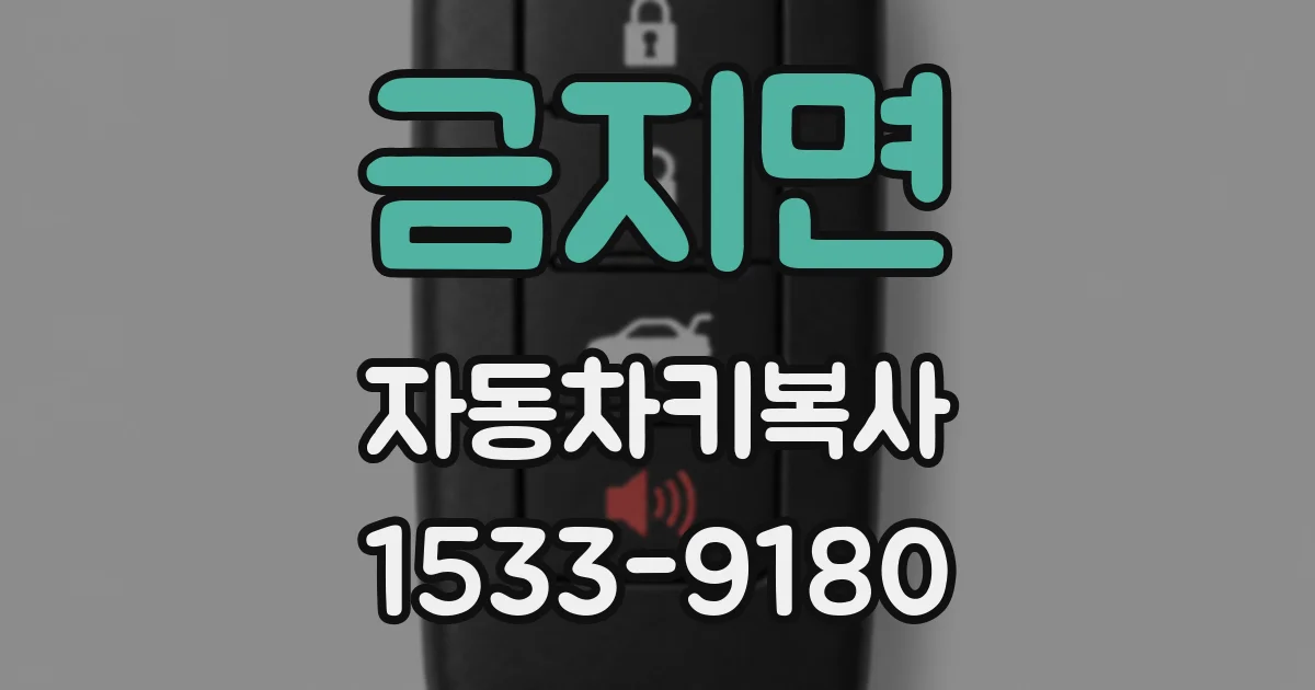 금지면 자동차키복사