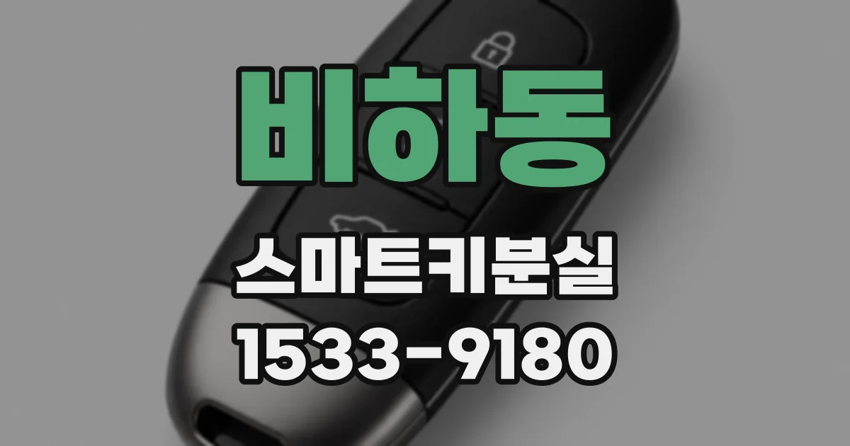 비하동 스마트키분실