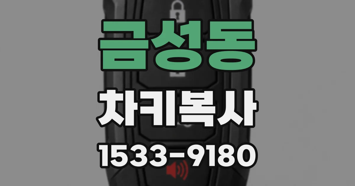 금성동 차키복사