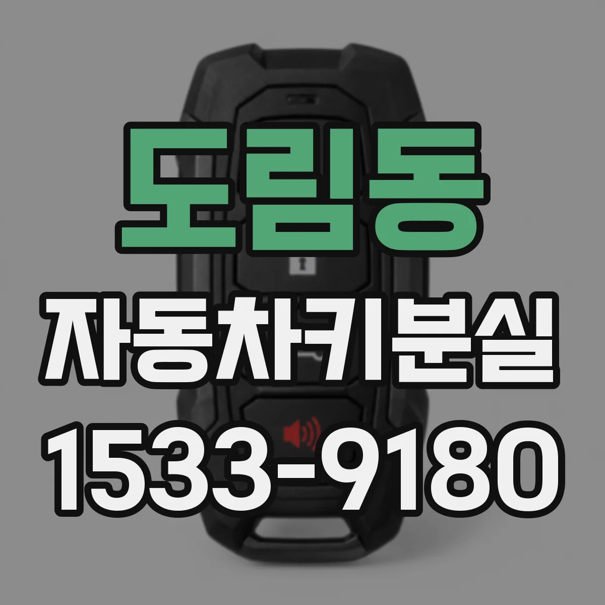 도림동 자동차키분실