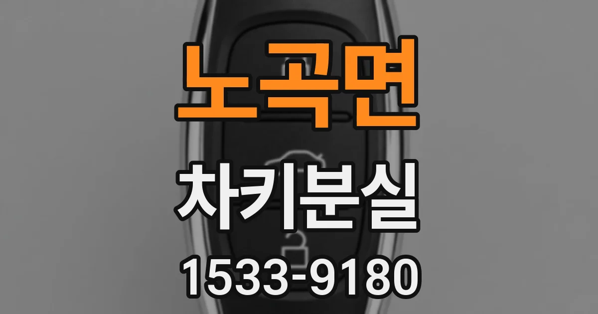 노곡면 차키분실