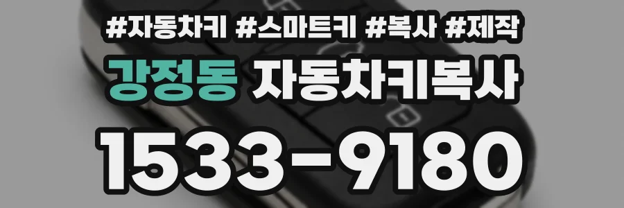 강정동 자동차키복사