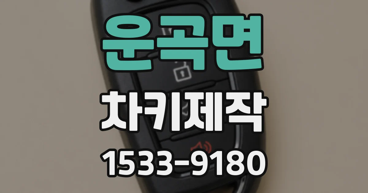 운곡면 차키제작