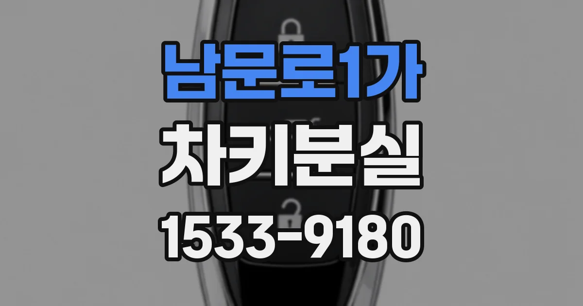 남문로1가 차키분실